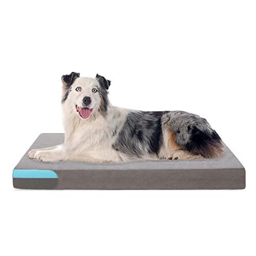 PETORREY Memory Foam Dog Beds for Large Dogs, Orthopedic Waterproof Dog