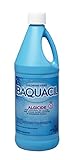 Baquacil Algicide - 1 qt