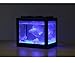Womdee LED Aquarium Mini Fish Tank, Clear Bettas Fish Tank Block Fish Tank Reptile Box USB Office Table Decoration Ocean Micro-Landscape Box Miniature Pet with Color Changing Light Effects, Blackthumb 3