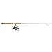 Pflueger PRESSP President Spinning Combo fishing Reel Rod