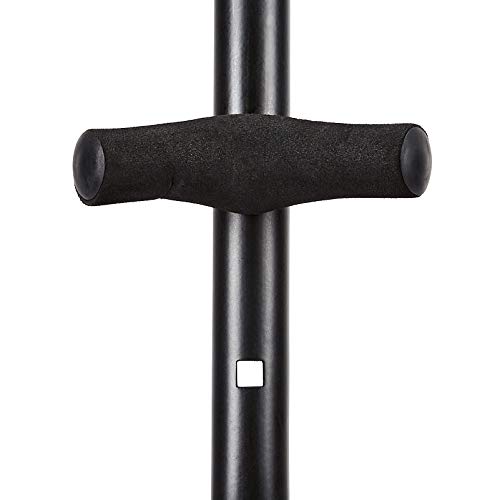 AmazonBasics Sax Stand with Peg Pricepulse