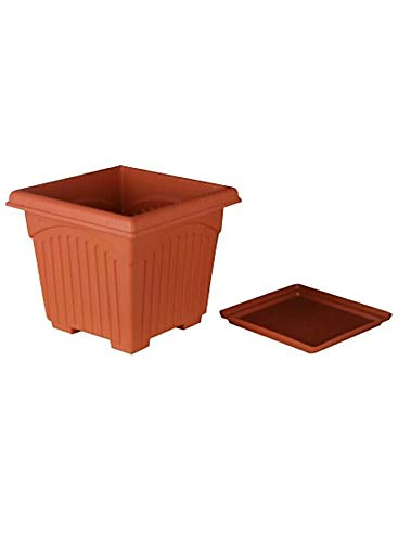 Asfa Deals Square Planter Plastic Pot with Tray
