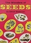 The wonders of seeds