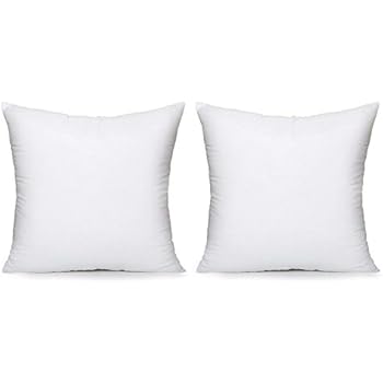 Amazon.com: 22" X 22" Pillow Insert: Home & Kitchen