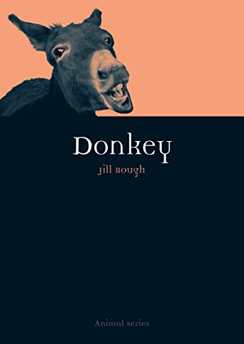 Donkey (Animal)