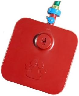 pawcet dog drinking fountain