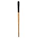 Princeton Catalyst Paintbrush, Size 6, Light Wood