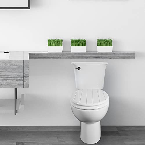 Angel Shield White Wooden Toilet Seat Antibacterial Adjustable Hinges Toilet Seat Fits Never Slips for Bathroom (Classic, White)