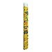 Moddan Pokemon Pikachu & Friends Pencils Party Favors - 12 Pencils and Random Bonus Toy