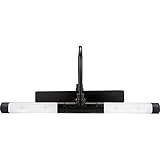 Rite Lite LPL601XLB battery operated Super Bright LED Picture Light