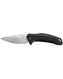 Kershaw Link Folding Pocket Knife (1776); 3.25 In. 420HC Stainless Steel Blade with Glass-Filled Nylon Handle, Reversible Pocketclip and SpeedSafe Assisted Opening; 4 oz., 7.6 In. Overall Length