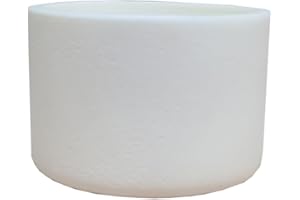 OTOOLWORLD 99.3% Alumina Crucible Al2O3 Aluminum Oxide Crucible Assay Crucible for Lab Laboratory (Φ60*40MM)