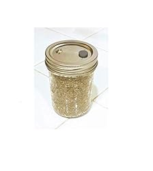 BRF PF Tek Brown Rice Flour Mushroom Substrate