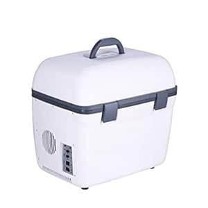 Amazon.es: Coche Del Refrigerador Del Coche Con 18L Mini ...