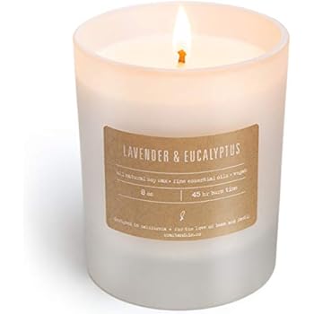 Scented Soy Candles, Premium All-Natural Soy Wax Candles for Men & Women | Long Lasting, Non-Toxic, Clean Burn Aromatherapy Candles, Frosted White Scented Candles (Lavender & Eucalyptus)