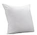 Square Sham Pillow Insert 22