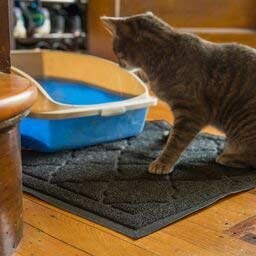 Best Cat Litter Mat 5