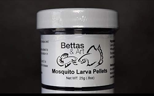 mosquito larvae betta food