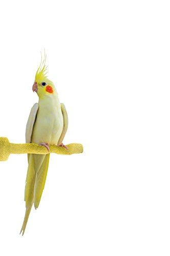 Sweet Feet and Beak Thermal-Lite Natural Patented Perch, X-Small - Yellow- Perfect for Keeping your Bird's Feet and Beaks Healthy