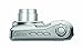 Kodak EasyShare C195 Digital Camera (Silver)