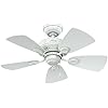 Litex BRC30WW6C Vortex 30-Inch Ceiling Fan with Six ...