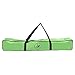 BullFrog Pickleball Set – Portable Pickleball Net with Frame, Padded Feet, Pickleball Bag and Assembly Instructions – Perfect for Indoor or Outdoor Pickle Ball