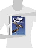 Image de Harris Hawk, The: Management, Training and Hunting