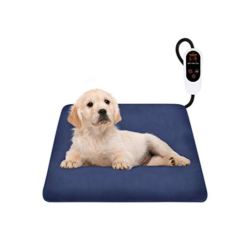 dog heater pad