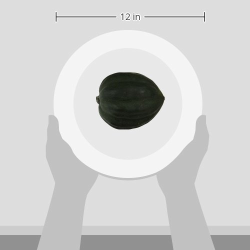 Acorn Squash, One Medium