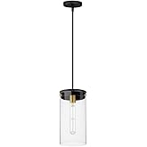 Maxim Pinn - 1 Light Pendant-14 Inches Tall and 8 Inches Wide-Black/Satin Brass Finish