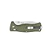 GANZO Firebird F720 Pocket Folding Bowie Knife 440C Stainless Steel Blade G-10 Handle with Clip Hunting Fishing Camping Outdoor EDC Knife (Green) with Gift - Multi-Tool Card 8-in-1