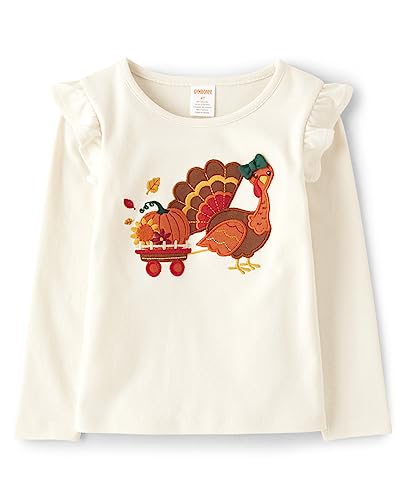 Gymboree Girls and Toddler Fall Holiday Embroidered Graphic Long Sleeve T-Shirts Shirt, Turkey Fall, 10 US