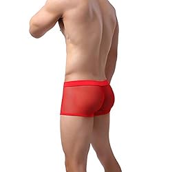 Laxier 2 Pack of Men Boxer Briefs Transparent