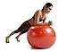 GoFit ProBall Stability Ball – Printed Exercise Ball for Yoga, Workout, Balance - Silver 75cm,GF-75PRO