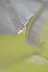 PEBEO Fine Oil XL 200ml Titanium White Oil Paint - Rich Pigment view 11