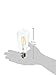 Vintage Edison Bulbs 60W LED ST64 Warm White 2700K E26 Clear Glass 360 Degrees Beam Angle Incandescent Equivalent Squirrel Cage Filament Soft Pack of 6 by Homestia