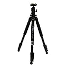 Dolica AX620B100 62-Inch Proline Tripod and Ball Head