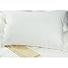 Set of TWO Oversized Pillow Case - Cover - 100% Egyptian Cotton, 340 Thread Count Sateen, ( Size 31 x 40), White Color