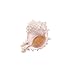 Pink Murex Seashell 4