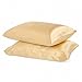 Silky Soft Satin Pillowcase Pair (Standard/Queen, Gold)