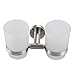 XVL Wall-Mounted Toothbrush Holder Double Holder, Brushed G1005