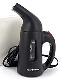 Garment Steamer
