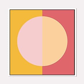 Framed for Living Room Bedroom Beautiful Watercolor Birds for