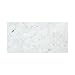 Carrara White Italian (Bianco Carrara) Marble 6 X 12 Subway Field Tile, Polished