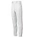 Mizuno Adult Men's Premier Piped Baseball Pant