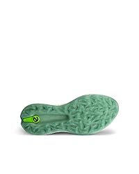 ECCO Men's Biom Hybrid 5 BOA Waterproof Golf