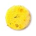 Godiva Solid Shampoo Bar