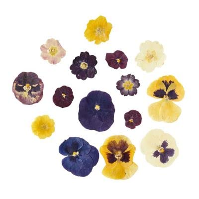 Edible Pressed Flowers - violas, pansies and primroses