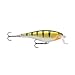 Rapala Super Shad Rap