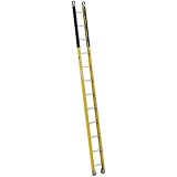 Werner 6 ft ladder